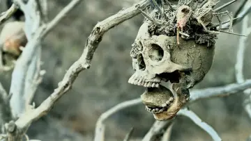 Zasłona do filmu "Bone Tomahawk" #691645