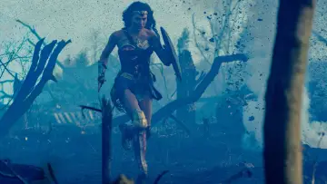 Zasłona do filmu "Wonder Woman" #230929