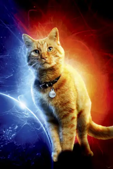 Plakat do filmu "Kapitan Marvel" #259705
