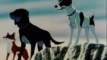 Zasłona do filmu "The Plague Dogs" #1047315