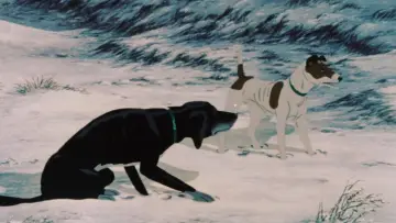 Zasłona do filmu "The Plague Dogs" #1047320