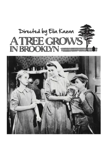 Plakat do filmu "A Tree Grows in Brooklyn" #933697