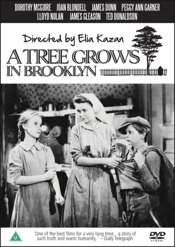 Plakat do filmu "A Tree Grows in Brooklyn" #933700