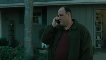 Zasłona do filmu "Witamy u Rileyów" #276370
