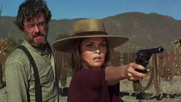 Zasłona do filmu "Hannie Caulder" #435854