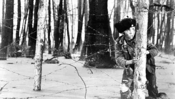 Zasłona do filmu "Dziecko wojny" #1805344