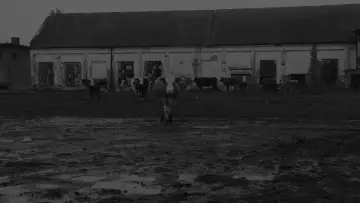 Zasłona do filmu "Szatańskie tango" #1011115