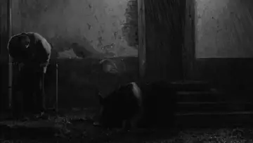 Zasłona do filmu "Szatańskie tango" #1011152