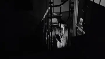 Zasłona do filmu "He Walked by Night" #1918378