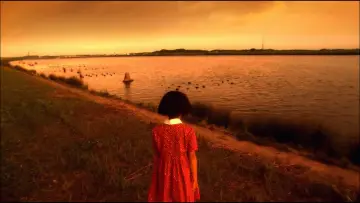 Zasłona do filmu "Żywot Matsuko" #882656