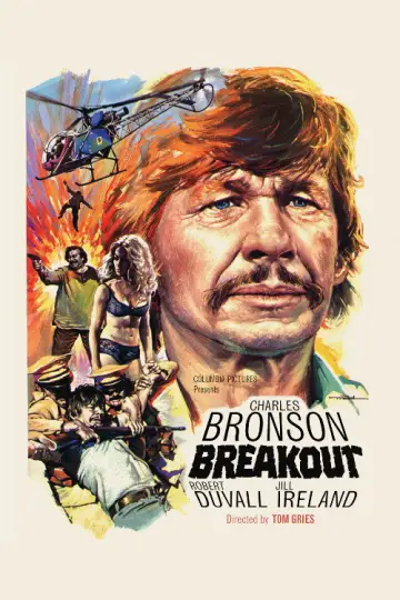 Plakat do filmu "Brawurowe porwanie" #1062057