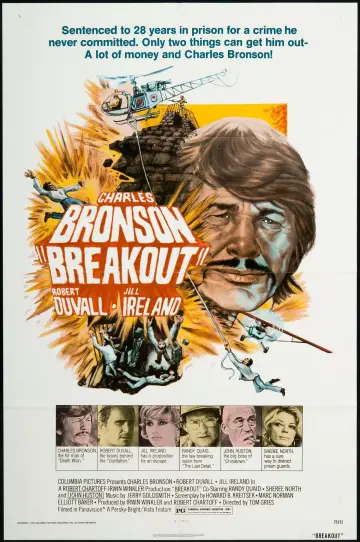 Plakat do filmu "Brawurowe porwanie" #1062058