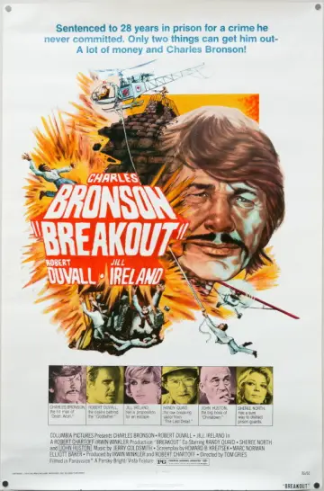 Plakat do filmu "Brawurowe porwanie" #1062061