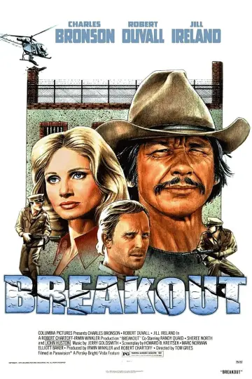 Plakat do filmu "Brawurowe porwanie" #1062064