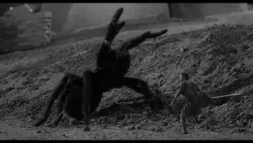 Zasłona do filmu "Człowiek, który się nieprawdopodobnie zmniejsza" #212656