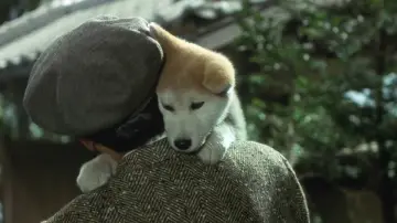 Zasłona do filmu "ハチ公物語" #352739