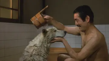 Zasłona do filmu "ハチ公物語" #352740