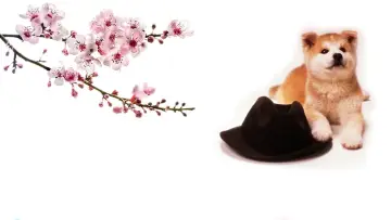 Zasłona do filmu "ハチ公物語" #352741