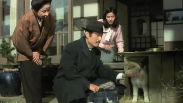 Zasłona do filmu "ハチ公物語" #352742