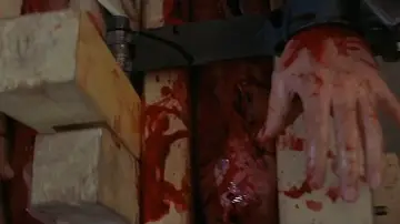 Zasłona do filmu "Diabły" #1865649