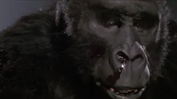 Zasłona do filmu "King Kong Żyje" #972629