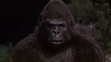 Zasłona do filmu "King Kong Żyje" #972630