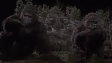 Zasłona do filmu "King Kong Żyje" #972631