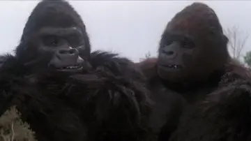Zasłona do filmu "King Kong Żyje" #972632