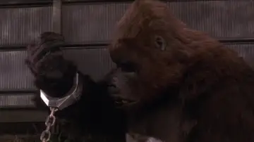 Zasłona do filmu "King Kong Żyje" #972633
