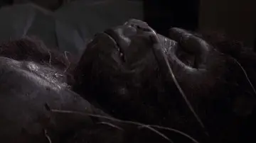 Zasłona do filmu "King Kong Żyje" #972634