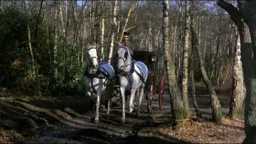 Zasłona do filmu "Wampiryczni kochankowie" #1048391