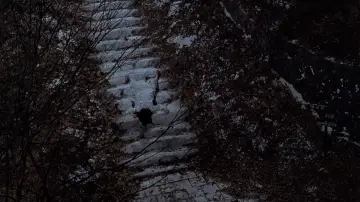 Zasłona do filmu "Schody życzeń 3" #746621