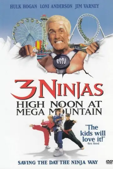 Plakat do filmu "Małolaty Ninja w lunaparku" #1034909