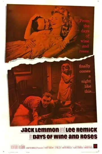 Plakat do filmu "Dni wina i róż" #131219