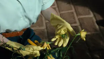 Zasłona do filmu "Schronienie" #907992