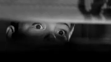 Zasłona do filmu "The Window" #502122