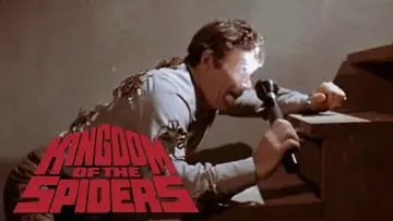 Zasłona do filmu "Królestwo pająków" #1138811