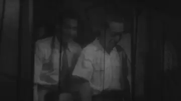 Zasłona do filmu "Zbłąkany pies" #941231