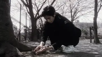 Zasłona do filmu "Aoi Haru" #950400