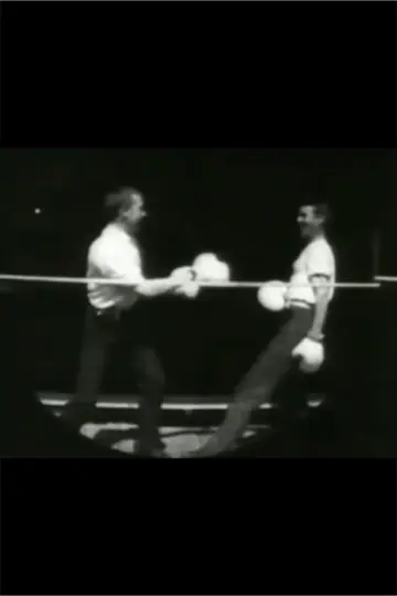 Men Boxing