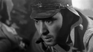 Zasłona do filmu "Harfa birmańska" #1085167