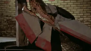 Zasłona do filmu "Aligator" #1008411