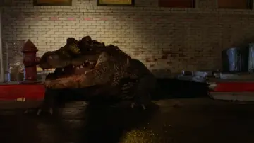 Zasłona do filmu "Aligator" #1008412