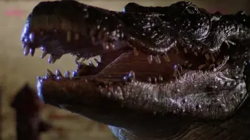 Zasłona do filmu "Aligator" #345953