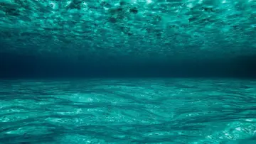 Zasłona do filmu "Ocean przygód 3D" #498520