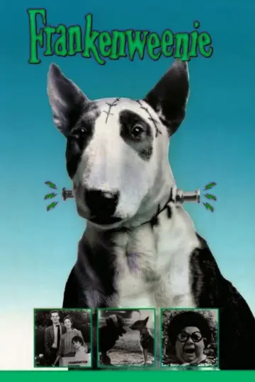 Plakat do filmu "Frankenweenie" #743657