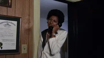 Zasłona do filmu "Sheba, Baby" #690477