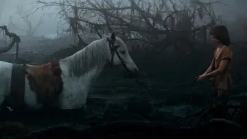 Zasłona do filmu "Niekończąca się opowieść" #233206