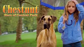 Zasłona do filmu "Chestnut: Hero of Central Park" #1003895