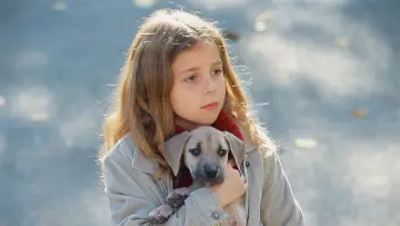 Zasłona do filmu "Chestnut: Hero of Central Park" #317503